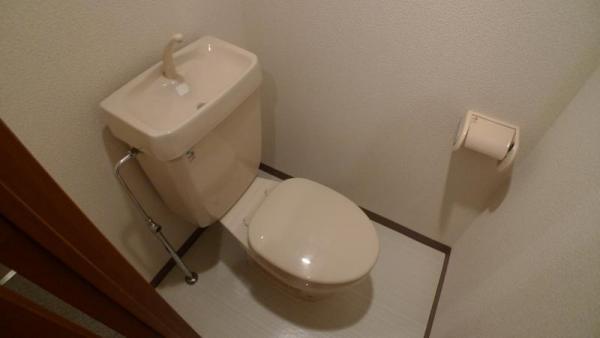その他写真5