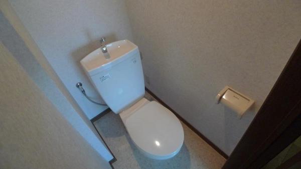 その他写真5