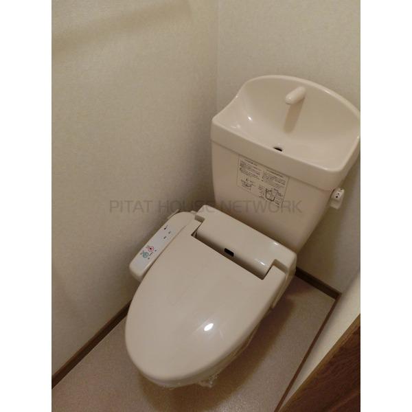 その他写真9