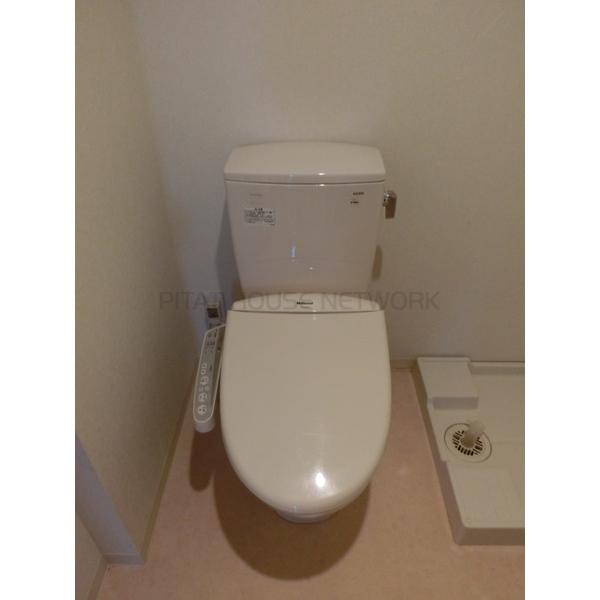 その他写真10