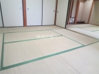 大阪市浪速区大国（大阪メトロ御堂筋線大国町駅）のマンションその他5